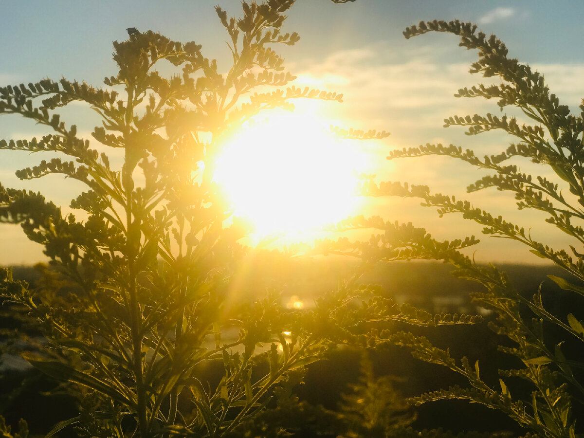 05.08.2022, Красная горка