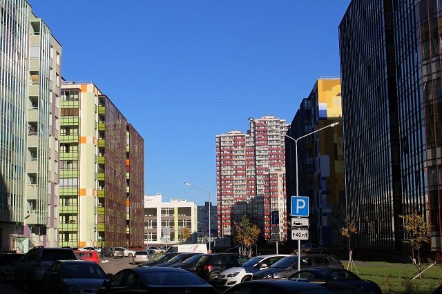 Фото: открытые источники