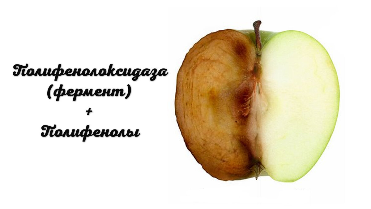 Реакция окисления полифенолов яблока с образованием меланина