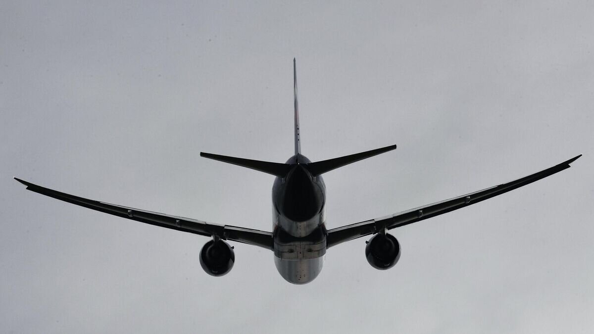    Самолет Boeing 777-300© РИА Новости / Виталий Аньков