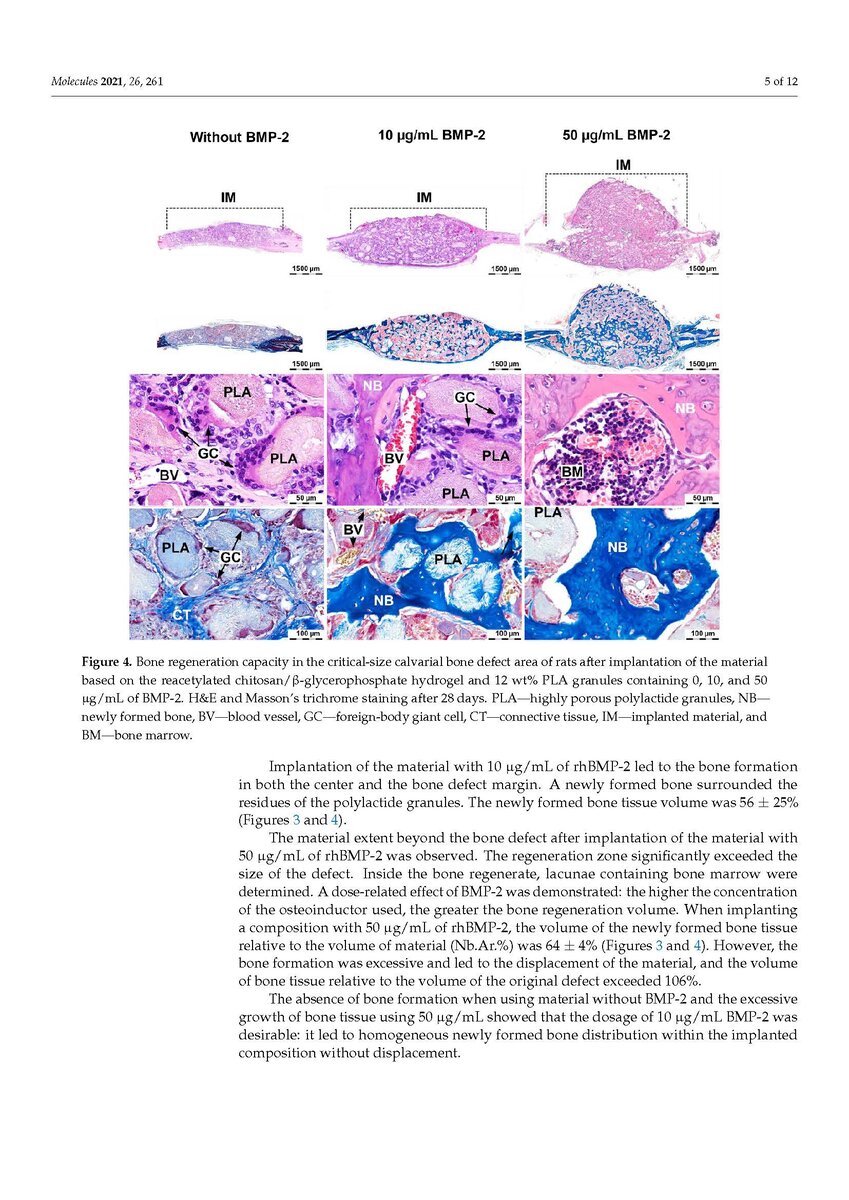 Пример №1: фрагмент статьи с коллажами, подготовленными в Affinity Publisher: кадрирование и подписи выполнены в Affinity Publisher, цветокоррекция выполнена в в окружении Affinity Photo с бесшовным переключением между программами