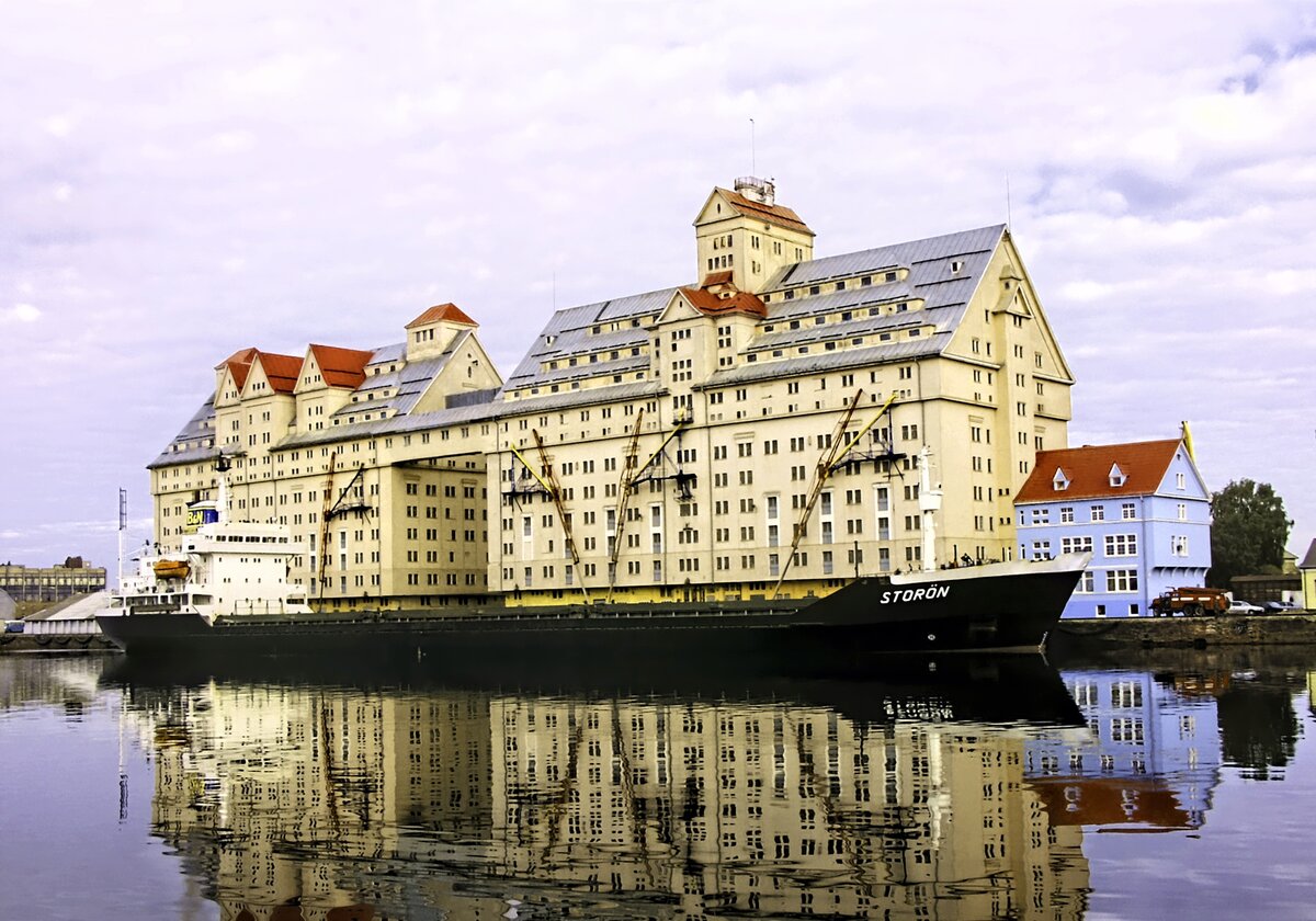 Пряничный Калининградский портовый элеватор 