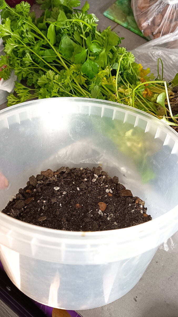 Вот такой у меня модный горшок😂