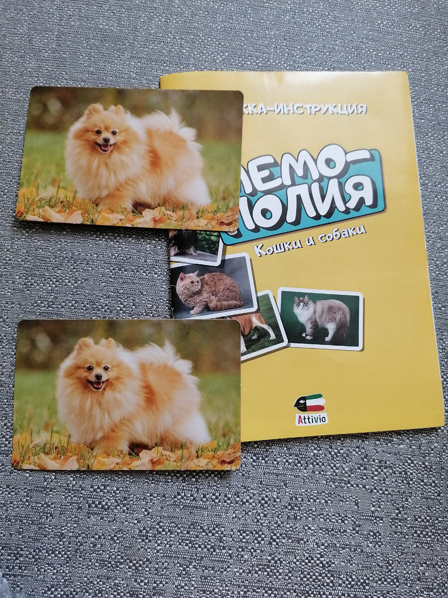 Мемо-полия. 