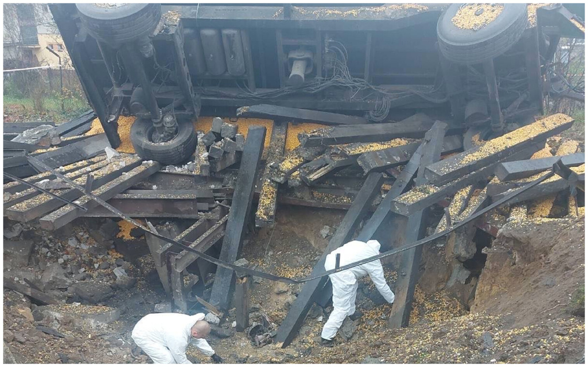 Данная картинка из общедоступных ресурсов сети интернет принадлежит только ее авторам.