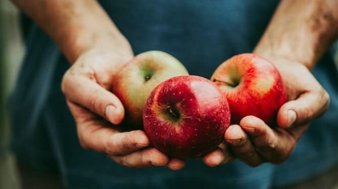 Вкусно и полезно: что будет с нашим телом, если кушать яблоки каждый день?