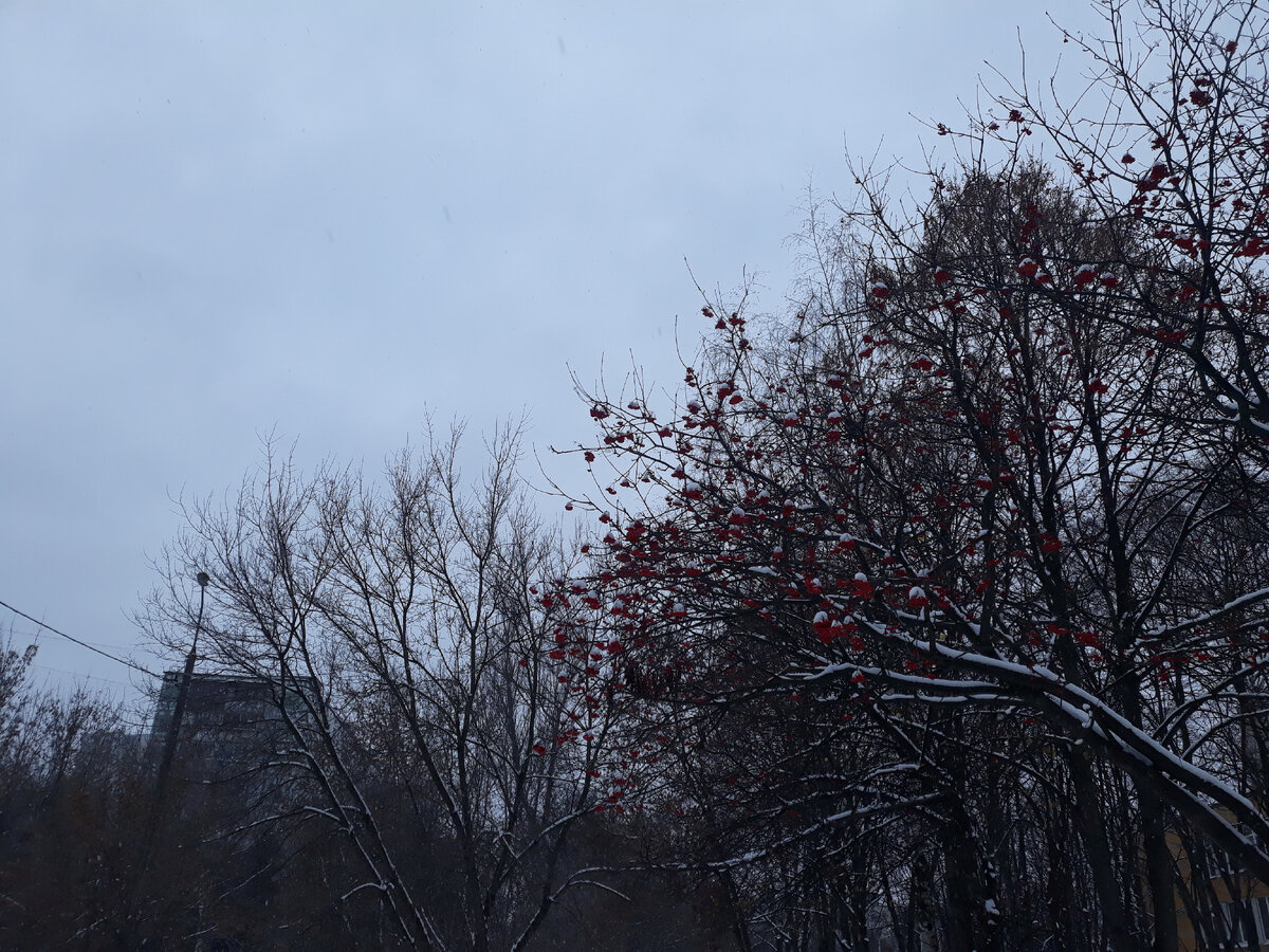 Холодно. Снежно