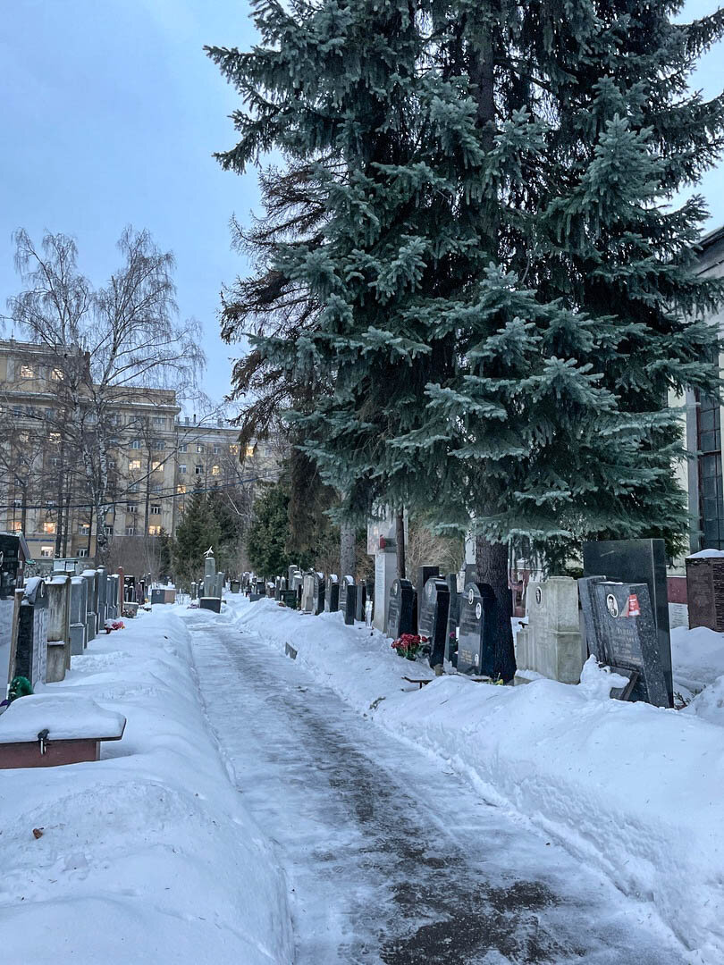 Фото: Вечность или миг? Донское кладбище