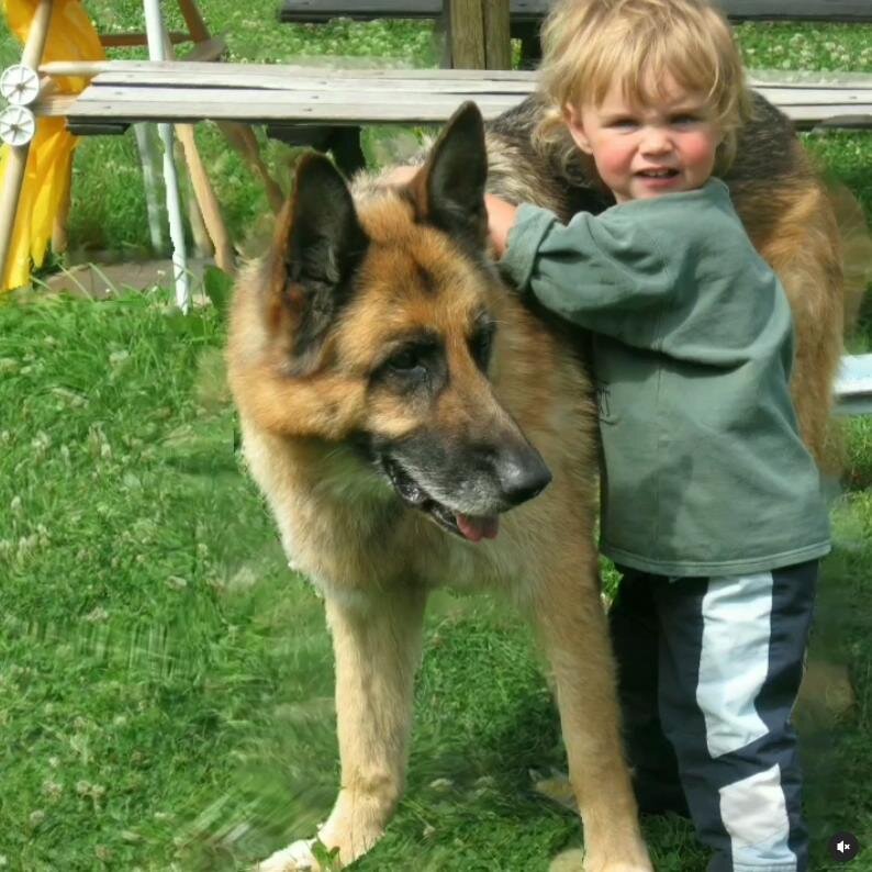 Скай и моя доча