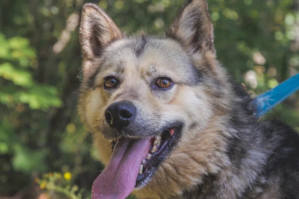 Улыбака и обнимака Ладушка