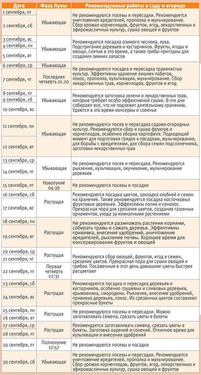 Календарь стрижек на октябрь 24 года астросфера Лунный календарь: какие работы в огороде нужно провести в сентябре Сельский Жите