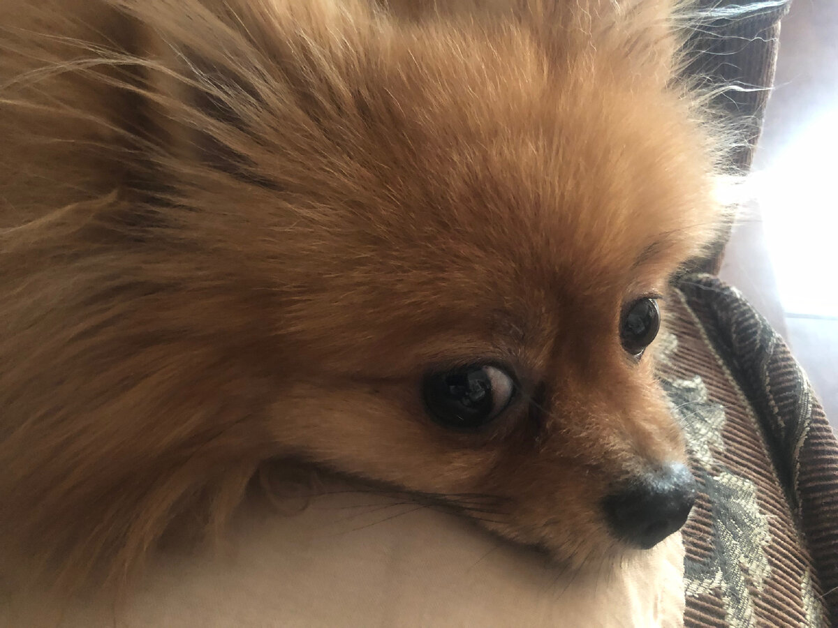 Недремлющее око…Иллюстрации автора.