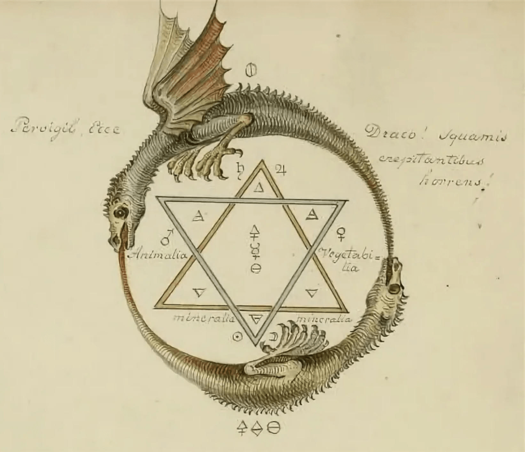 Алхимия силы. Уроборос древний оккультный символ. Уроборос Алхимия символы. Уроборос Алхимия звезда Давида. Уроборос Масонский символ.