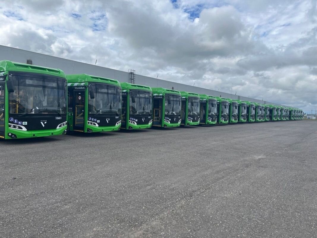    Фото: vk.com/aleksander_vasilchenko