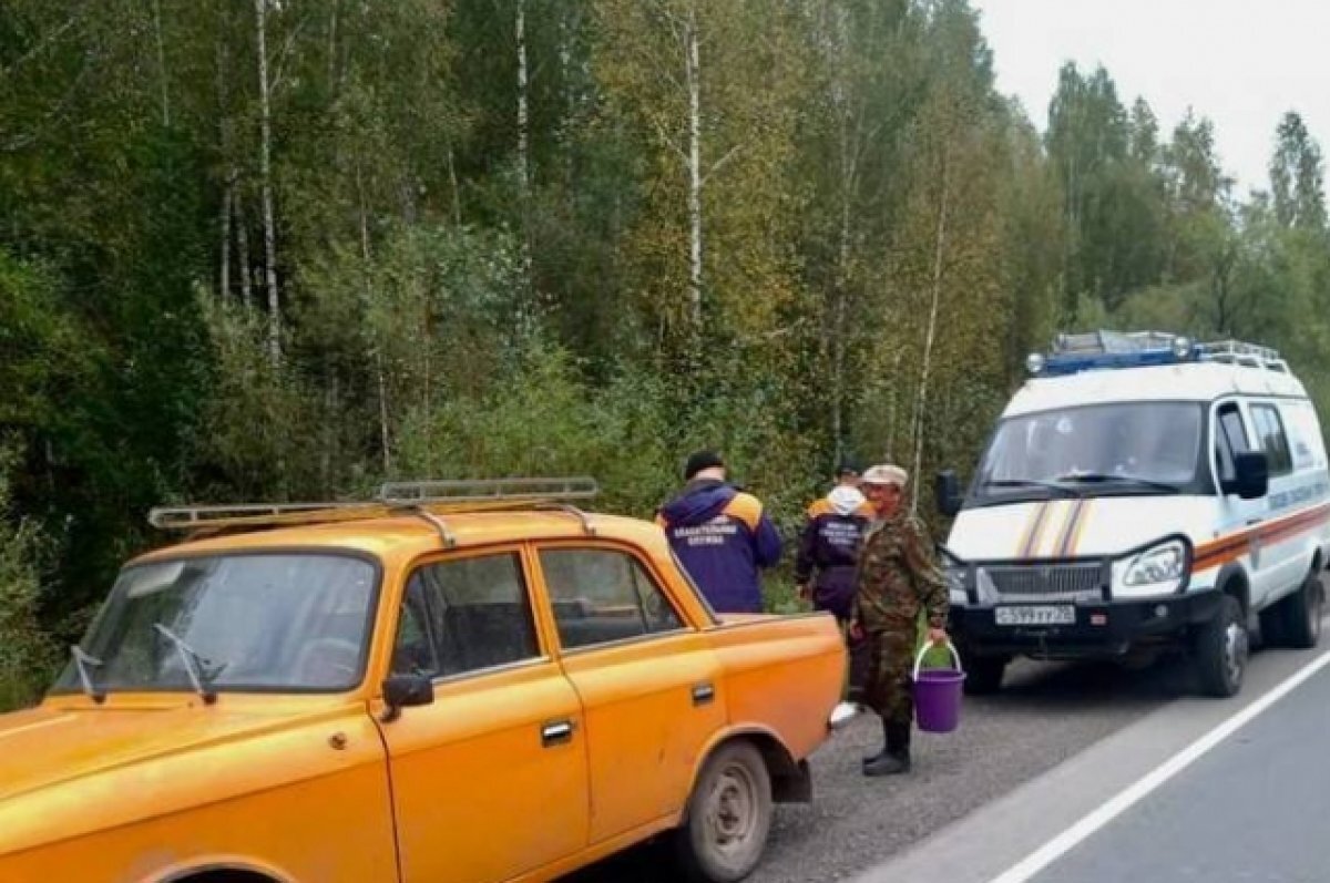 В Томской области искали пропавшего грибника | АиФ-Томск | Дзен