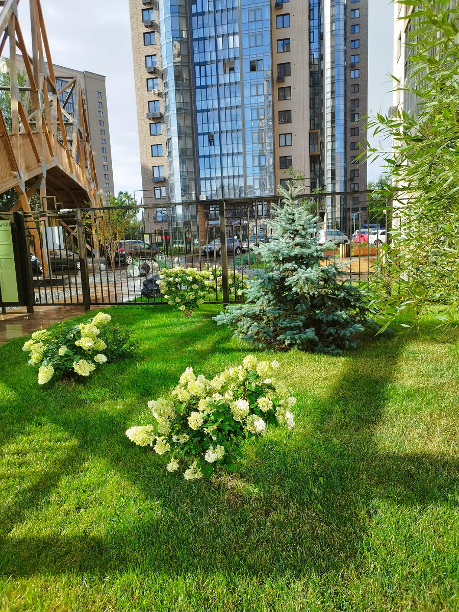 Фото из личного архива автора