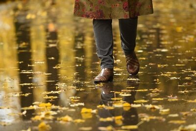    Осень в Москве © РИАМО