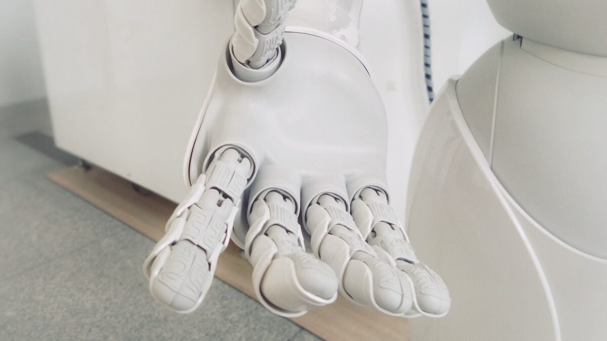    Фото: Unsplash Август Макаров