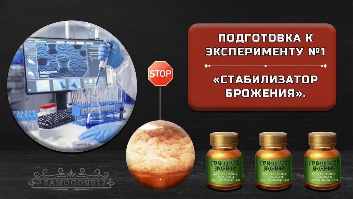 Подготовка к эксперименту №1 – Стабилизатор брожения. Коллаж автора ©