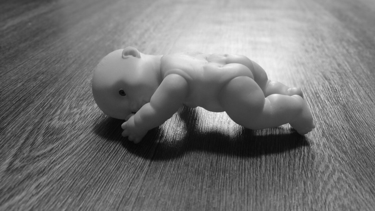     В Ростовской области и других регионах России около 40% женщин отказываются от рождения детей из-за бедности и проблем с жильем, об этом сообщил гендиректор Фонда «Всероссийский центр изучения общественного мнения» (ВЦИОМ) Константин Абрамов.