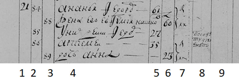 Структура исповедной ведомости образца 1738 г. 1) № двора, 2) Сквозная нумерация людей мужского пола 3) То же, женского пола 4) Фамилия (при наличии), имя, отчество 5) Возраст, М 6) Возраст, Ж 7) Были ли у исповеди 8) Причина не причастия 9) Кто не был у исповеди