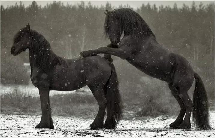 Источник фото сервис Яндекс.Картинки