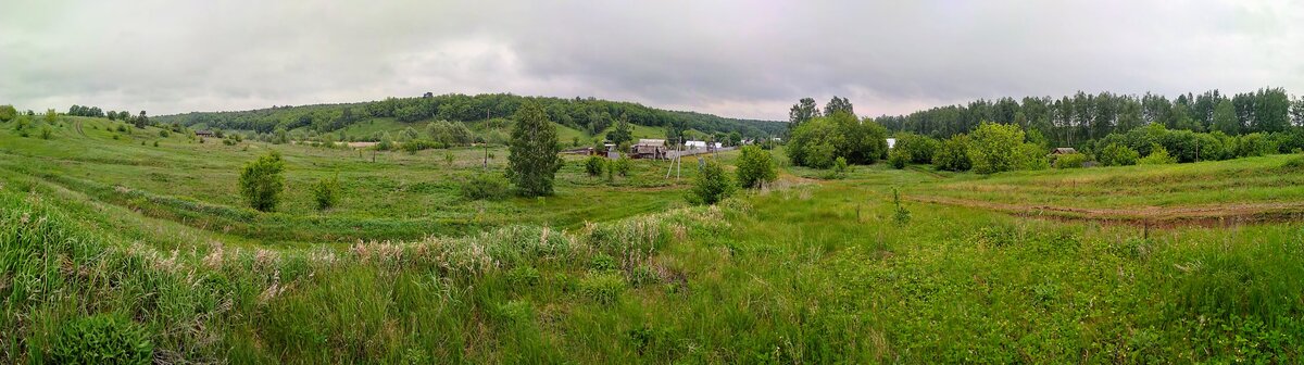 Общая панорама с возвышенности.