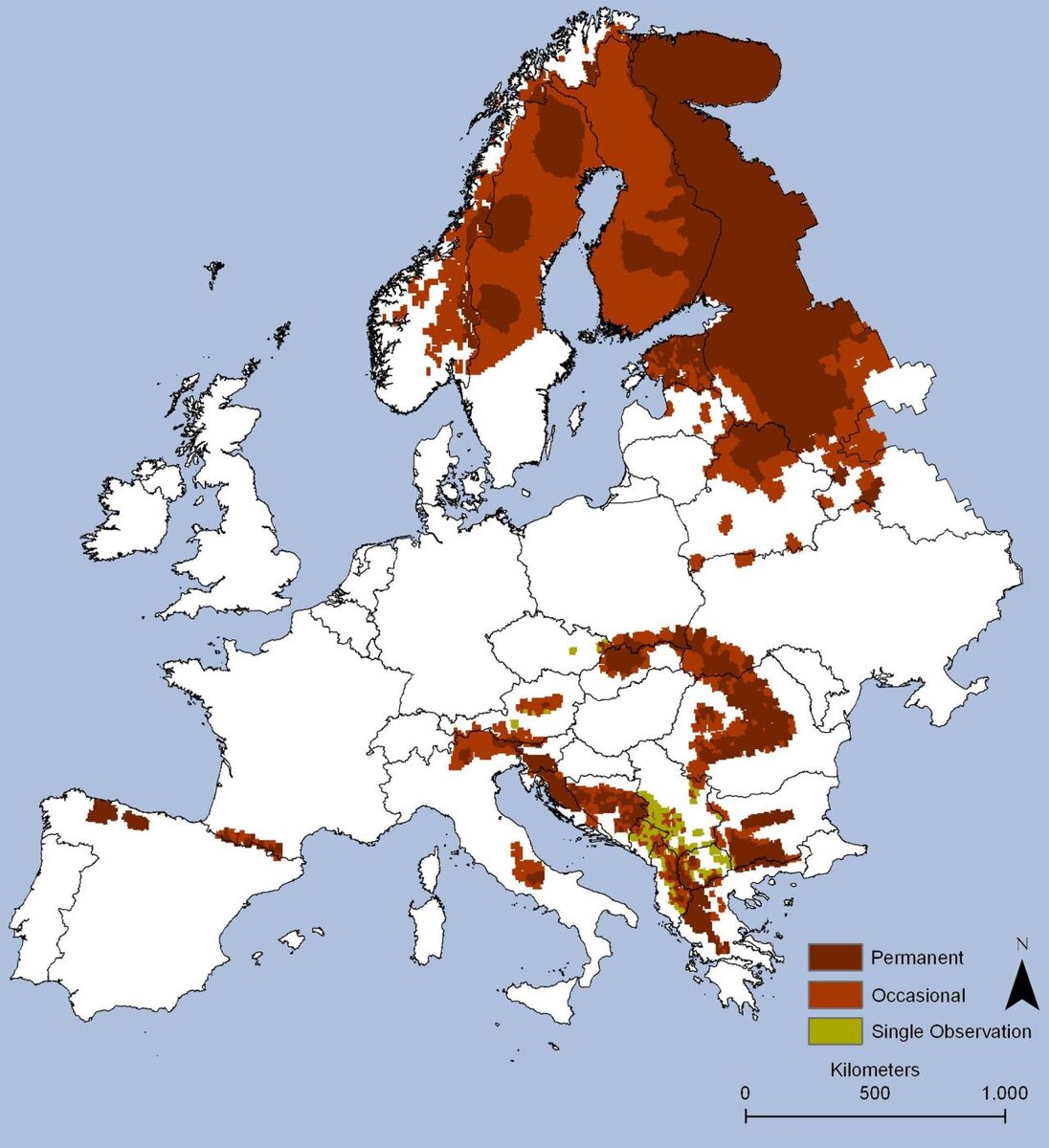 Карта где водятся медведи в россии