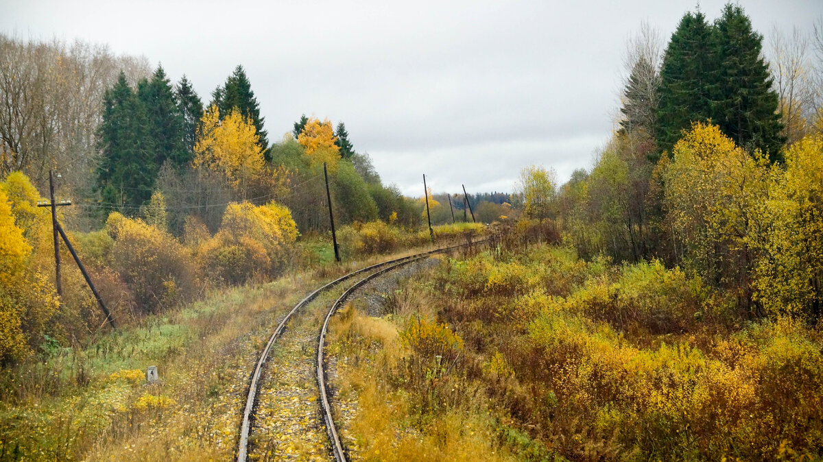 81 км. Осень в Бологое.