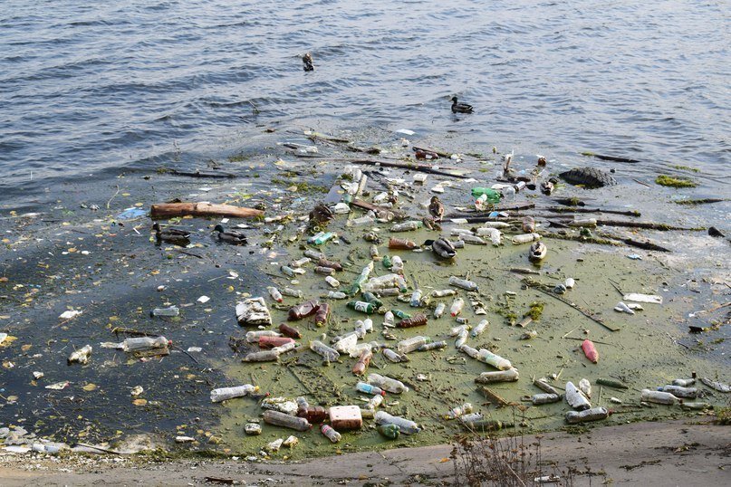 Загрязнение водохранилища