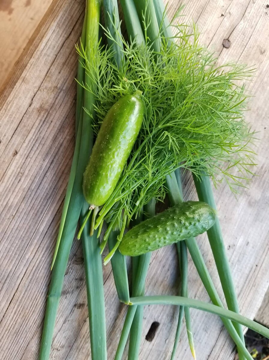 Немудренная закуска с огорода