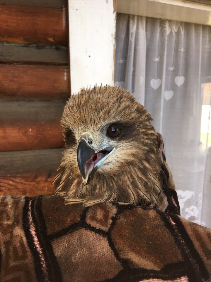 фото сотрудников национального парка «Чикой» 