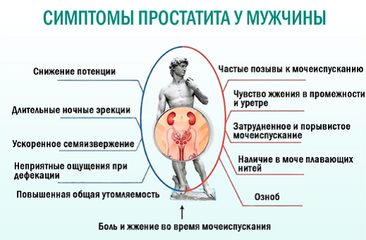 Аденома простаты - Euromed