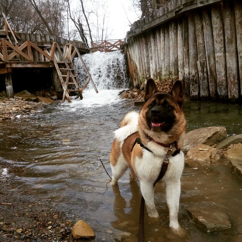 Яра на водопаде 