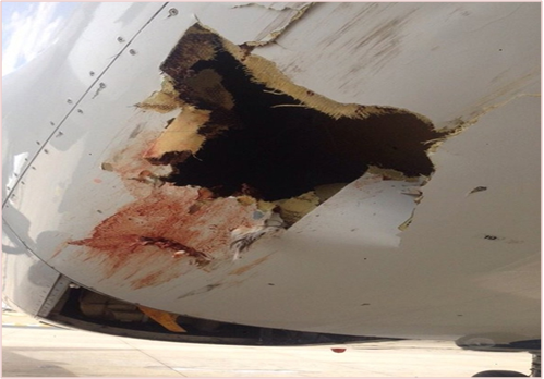 Повреждение от столкновения с птицей