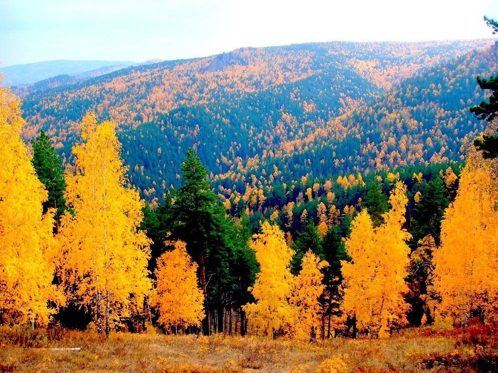 (Фотография из свободного доступа "Яндекс-картинки" - заповедник)