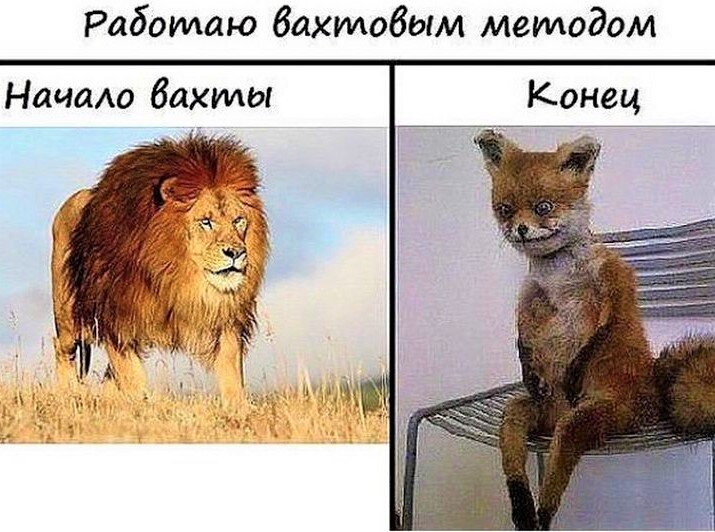 Немного о вахтовой работе. Картинка из открытых источников. Носит иллюстративный характер.
