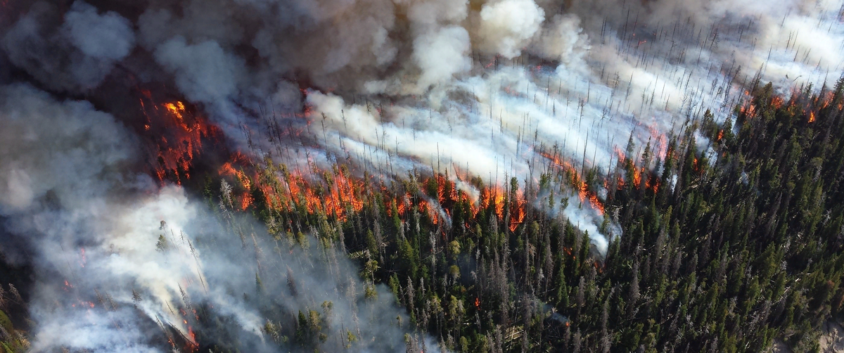 фото с яндекса