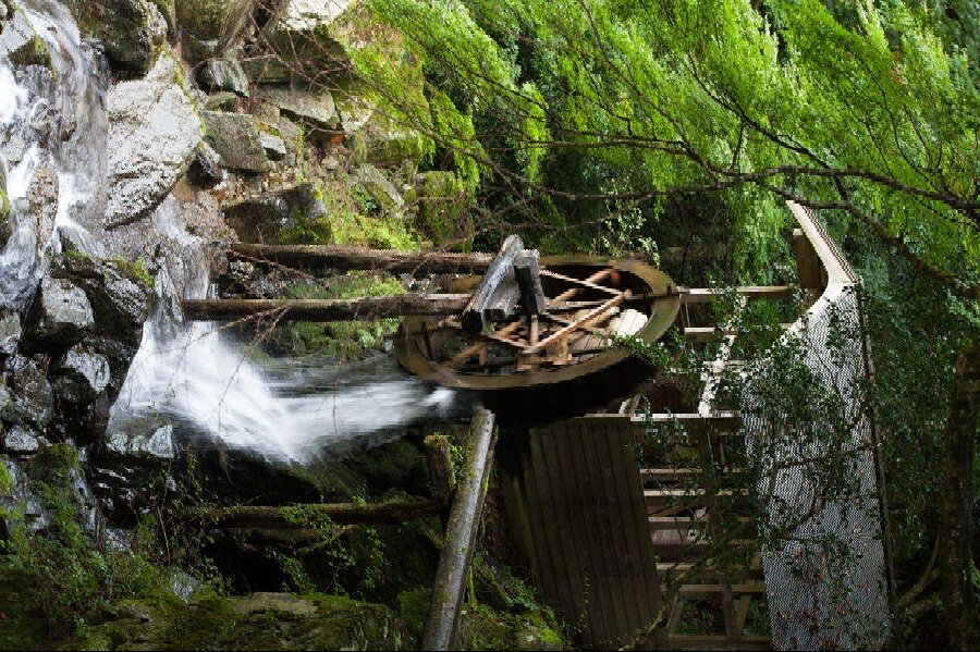 Почему природа не изобрела колесо? Природа изобрела его, просто это было незаметно до недавнего времени. Микроорганизмы используют круглые диски для передвижения. Бактерии передвигаются с помощью "колес" - они двигаются, прикрепляясь к "колесику" в клеточной мембране. Это колесо вращается на огромной скорости (до 100 оборотов в секунду) и вырабатывает электричество, которое заряжает протеины, прикрепленные к клеточной мембране.