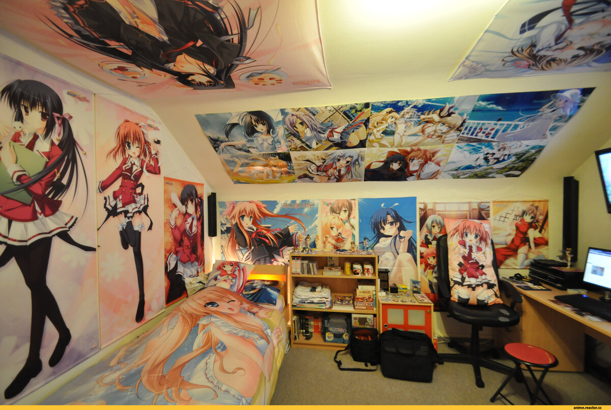 Все это он спрячет за 10 минут.