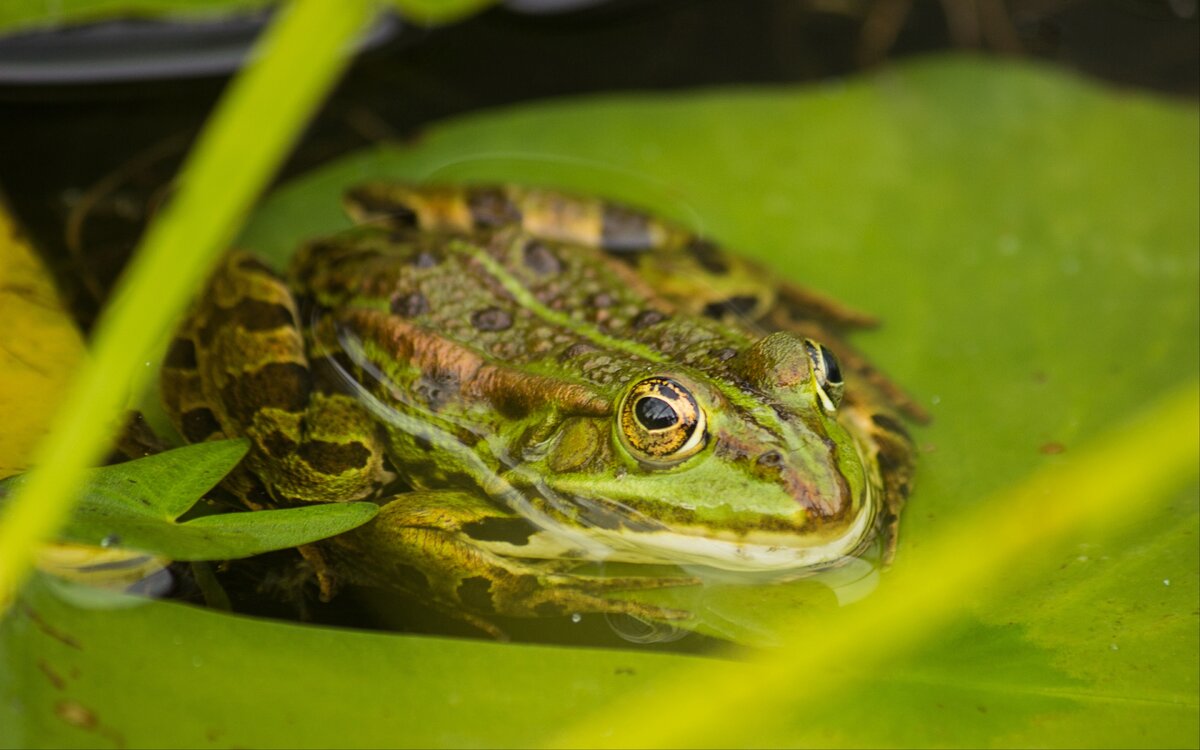 фото из интернета