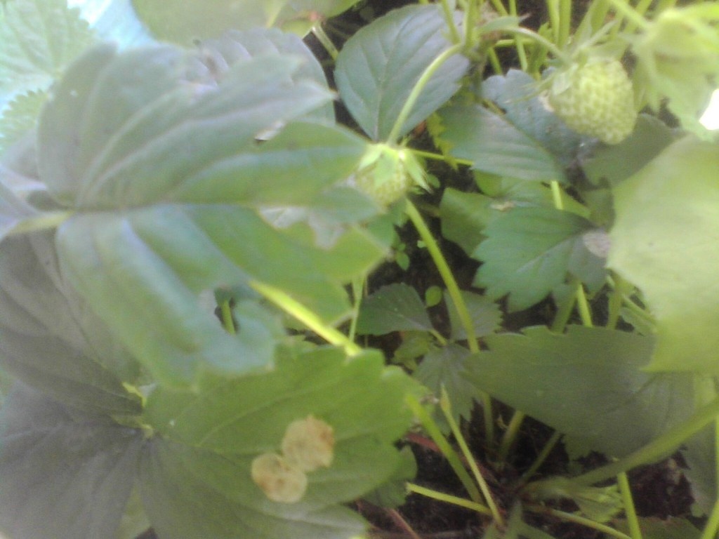 Фото 2014 года, после небольшого преображения. из личного архива