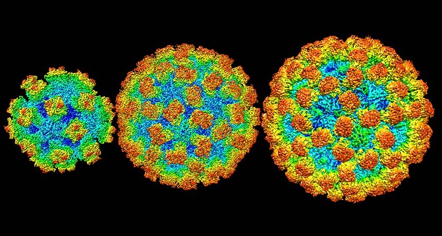 Фото: https://www.sciencenews.org