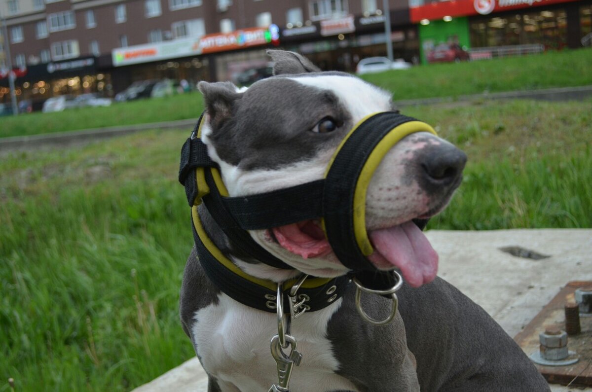 Беатриче. Фото из личного архива