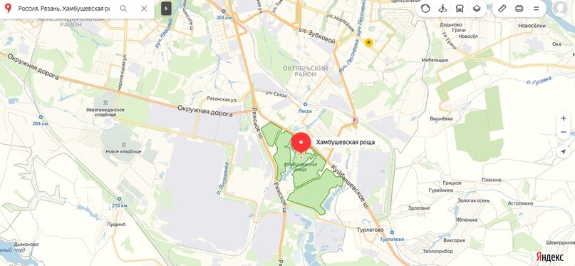                                       Расположение Хамбушевской рощи на карте города