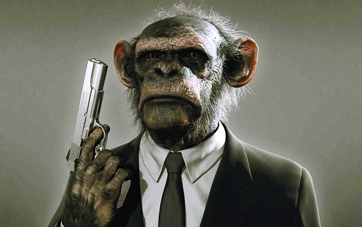 изображение из открытого доступа