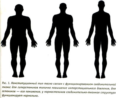    Долго считалось, что ее основная задача — служить каркасом, поддерживать, образовывать строму (основную опорную структуру органов, тканей и клеток), которая должна защищать паренхиму (функциональную, специализированную ткань органов). Однако новейшие исследования позволяют кардинально переоценить роль соединительной ткани.