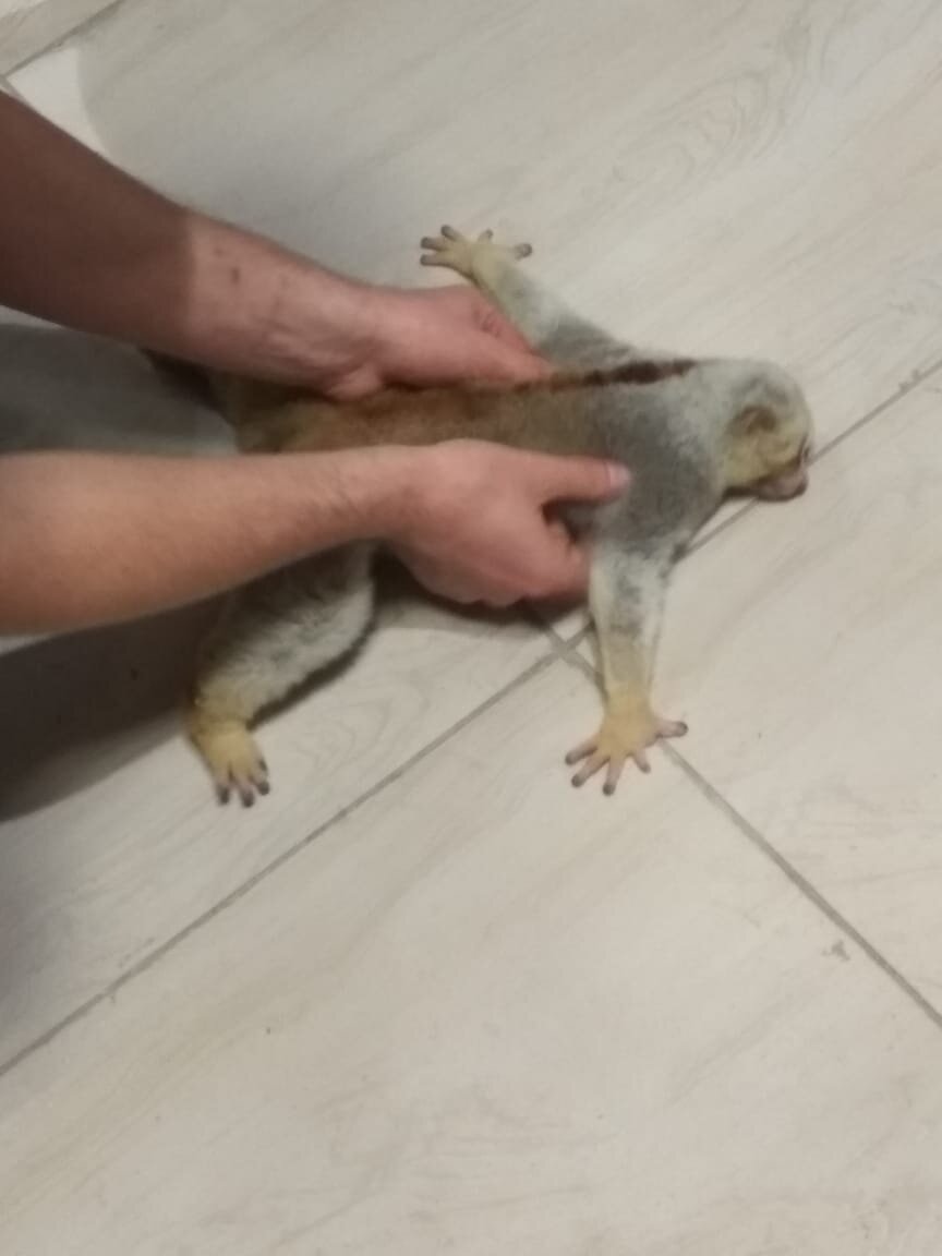 -2