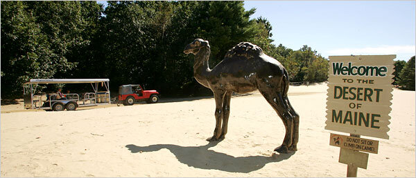 Добро пожаловать в пустыню Мэна!