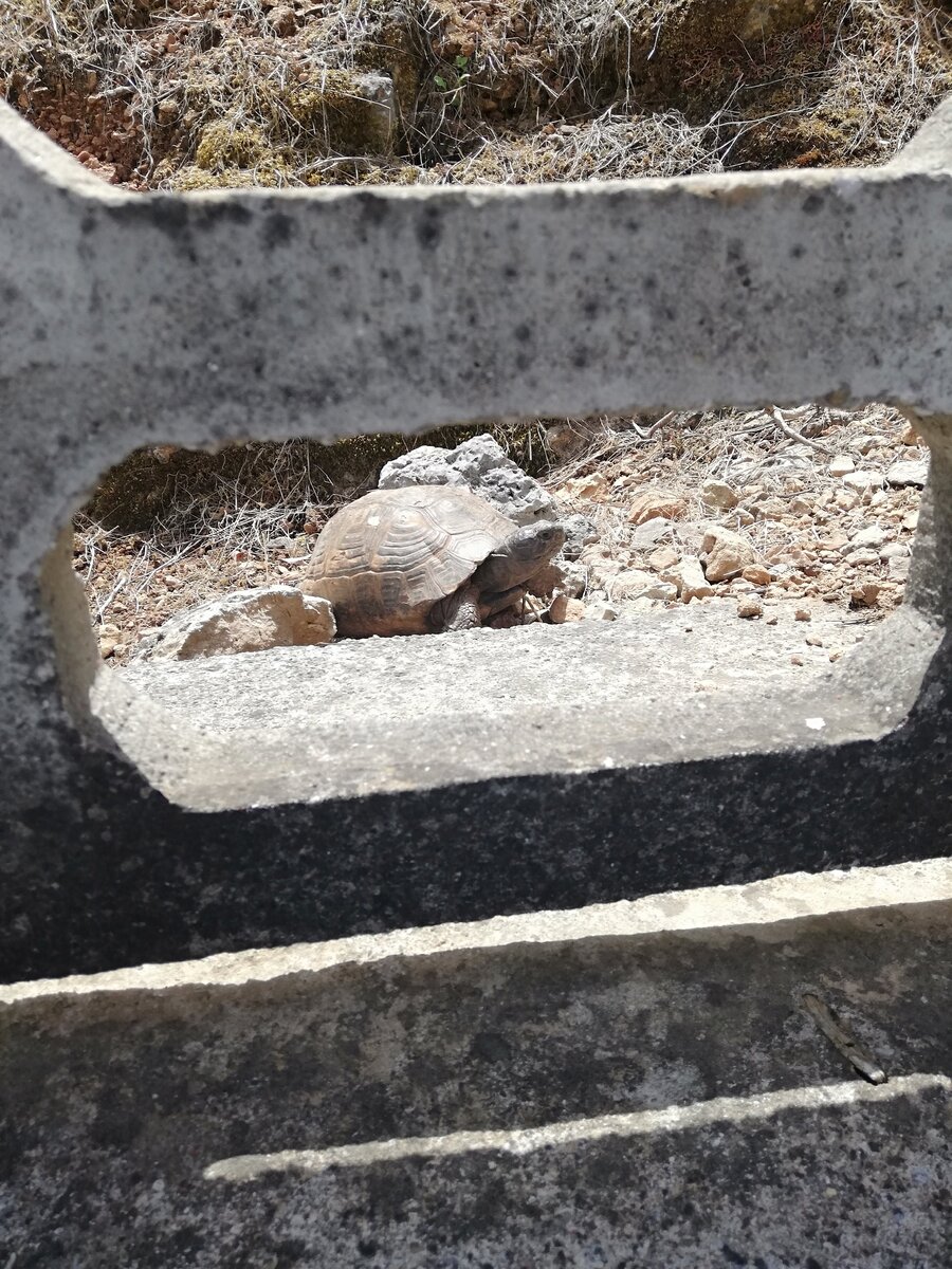 могильная вода